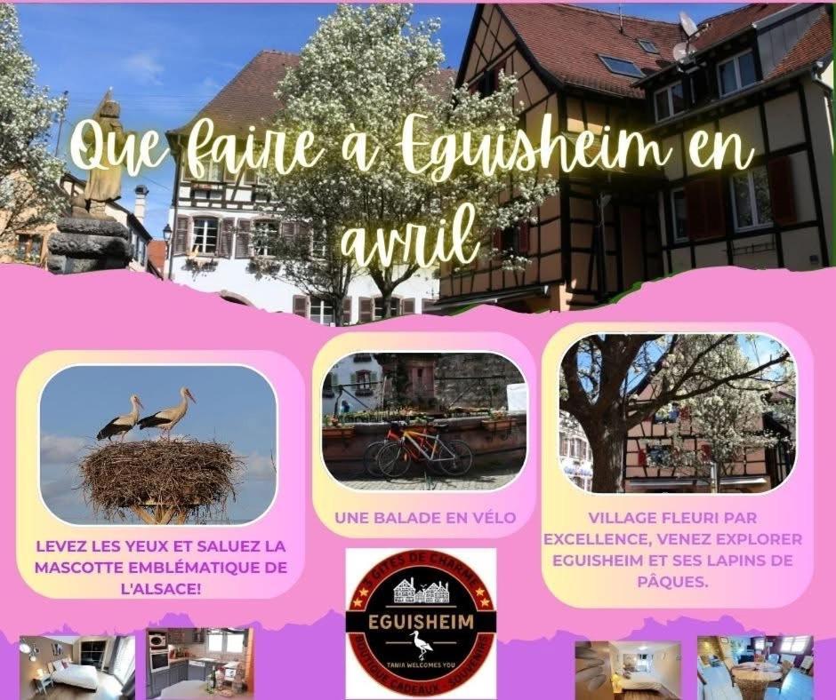 Gite Geranium*** 埃圭斯海姆 外观 照片